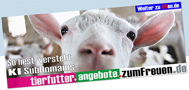 Mailadresse ist Botschaft